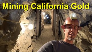 Mining California Gold [upl. by Areic]