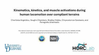 Locomotion over compliant terrains  The Variable Stiffness Treadmill 2 VST 2 [upl. by Yram49]