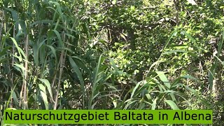 Naturschutzgebiet Baltata in Albena [upl. by Ettinger]