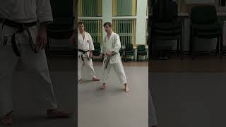 Nijushiho kata effective bunkai nr 4 and nr 5 shorts [upl. by Afrika]