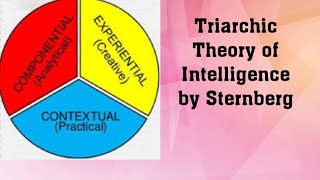 Triarchic Theory of Intelligence by Robert Sternberg [upl. by Dazraf]