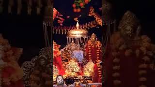 Maa bhakti div Vaishno Devi viralvideo maavaishnavdevi [upl. by Lerred]