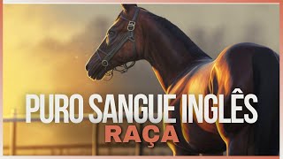 Por Que o Puro Sangue Inglês É o Rei das Corridas de Cavalos [upl. by Lydia892]