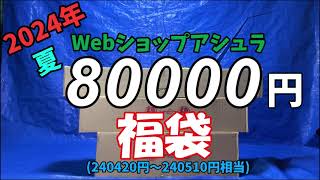 【エアガン福袋】2024年Webショップアシュラ夏の8万円福袋 [upl. by Einaej]