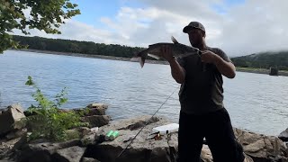 Fishing Guntersville Dam￼ [upl. by Croft]