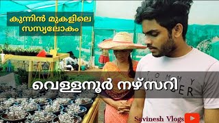 NURSERY GARDEN  Vellanoor  Chathamangalam  അടിപൊളി ഒരു നഴ്സറി  Savineshvlogs [upl. by Aisyla]