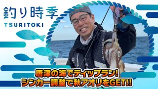 唐津の海でティップラン！シンカー調整で秋アオリ攻略！！（釣り時季2022年11月13日放送） [upl. by Lerej]