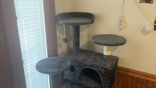 How Stable is This Cat Tree Our Cats Favorite Parts of it [upl. by Rufena179]