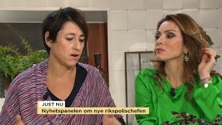 Sverigedemokraterna delar Nyhetspanelen i två läger  Nyhetsmorgon TV4 [upl. by Ellehcrad]