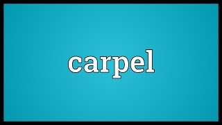 Carpel Meaning [upl. by Ron734]