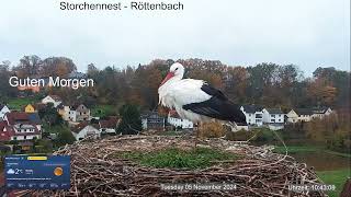 2024 11 05 Storchennest Röttenbach Guten Morgen Mieterhauptversammlung beendet Chef ist da🤣 [upl. by Felder]