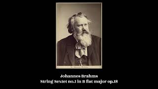 Johannes Brahms  String Sextet no1 in B flat major op18 [upl. by Ahsiuqram]