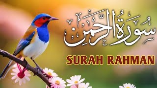 Surah Al RahmanEp 67  سورہ رحمٰن55 quran recitation AMAZING Tilwat by hafiz M Fraz [upl. by Wallis]