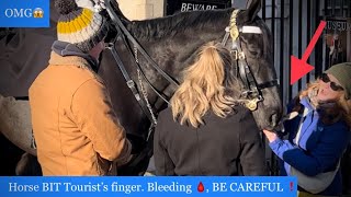 Horse BIT Tourist’s finger Bleeding 🩸 BE CAREFUL ❗️ kingsguard horseguardsparade horse guard [upl. by Minna]