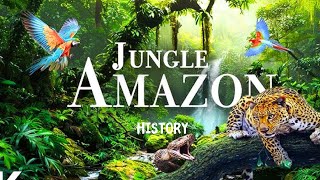 Amazon Jungle  Animals amp History Danger Place of Earth  ایمازون کے جنگل کی داستان [upl. by Drice237]