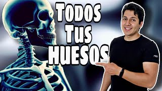 HUESOS del cuerpo humano en 5 MINUTOS 🦴💀 [upl. by Kokoruda73]