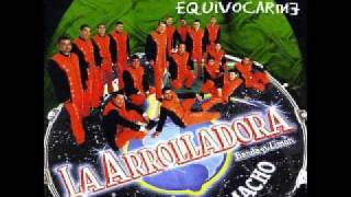 VIEJITAS DE LA ARROLLADORA BANDA EL LIMON DE RENE CAMACHO [upl. by Ellingston]