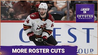 Coyotes Make More Roster Cuts Ahead of End of Preseason [upl. by Eirallih]