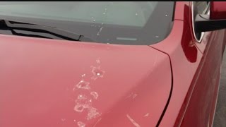 Egging of 40 cars in Girard prompts police investigation [upl. by Donny165]