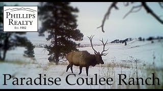 Sold Montana Ranch For Sale  Paradise Coulee Ranch  Grass Range Mt [upl. by Eissoj]