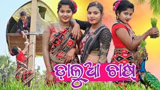 ଡ଼ାଲୁଆ ଚାଷ୍ 🌾 କେନ୍ତା ହେଲା   New Sambalpuri Comedy Video  Recent Viral Video sambalpuricomedy [upl. by Linet]