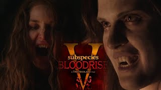 Subspecies 5 The Vampiress Film Recap [upl. by Yenattirb]