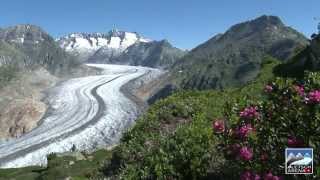 Aletsch Arena Sommer [upl. by Mellins]