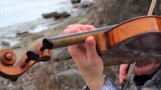 Auld Lang Syne Scottish Medley on Violin  Taylor Davis [upl. by Alphonsine]