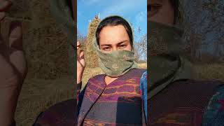 Ek or ghass ki tolli lagai aj 🫣youtube kulluvlog minivlog villagelife gaon Girl from kullu [upl. by Buchalter496]