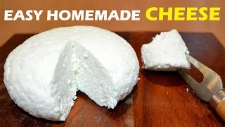 How to Make Cheese at Home  2 ingredient Easy Cheese Recipe [upl. by Reggie]