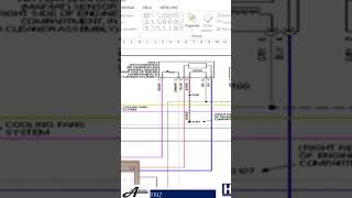 ¿Cómo saber si son 12 v o 5 v en los sensores de la caja de relevadores [upl. by Pelletier]