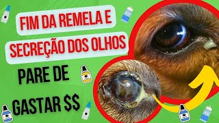 CACHORRO COM OLHOS CHEIOS DE REMELA E SECREÇÃO COLÍRIO CARO NÃO RESOLVE COMO CURAR OLHO REMELANDO [upl. by Lukey]