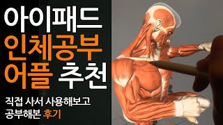 인체 드로잉 해부학 공부 이제 아이패드로 하자 [upl. by Aixela887]