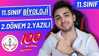 11Sınıf Biyoloji 2Dönem 2Yazılı Çözümü 🔥  \u00100 MEB Uyumlu  11sınıf [upl. by Newhall]