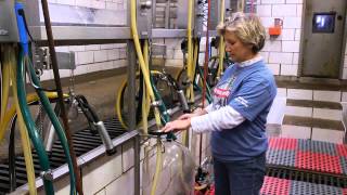 Walkthrough the milking process with the Ballance Dairy Farm Family of Kentucky [upl. by Kissee]