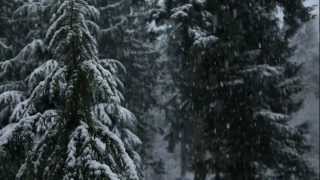 Snow Falling in the Evening HD [upl. by Marlen]