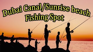 Best Dubai Fishing Spot Dubai CanalSunrise Beach bestdubaifishinglocations [upl. by Naujad498]