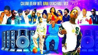 Dancehall Mix 2024  New Dancehall Songs 2024  Dip  TeejayTommy LeeBaykaVybz kartelValiant [upl. by Llenrod]