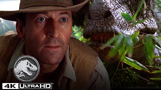 Jurassic Park  “Clever Girl” Muldoon Is Eaten by a Velociraptor Edited [upl. by Clarisa408]