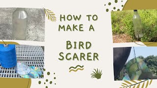 How to make a Bird Scarer  Cheap but Effective Way  DIY Gardening [upl. by Isidro448]