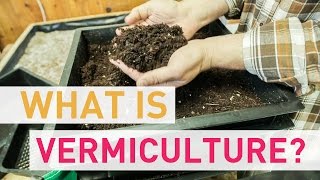 What Is Vermiculture [upl. by Eyaf815]