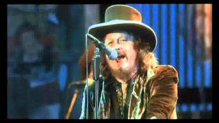 Zucchero Live In Italy  Cosi Celeste [upl. by Airetas]