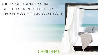 Softer Than 1000 ThreadCount Egyptian Cotton  Cariloha Bamboo Sheets [upl. by Arded439]