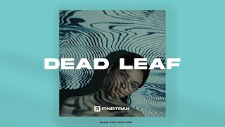 Dead Leaf  Instrumental Afrobeat x Lojay Type Beat [upl. by Savanna]