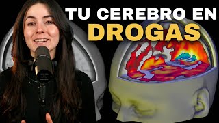 ¿Puede el MDMA mejorar tu Salud Mental [upl. by Hunger233]