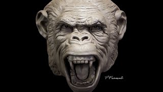 Sculpting a Chimp Part 2 [upl. by Eiramanel]