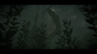 Hydrus Eel  Shadow Of The Colossus [upl. by Lindsay31]