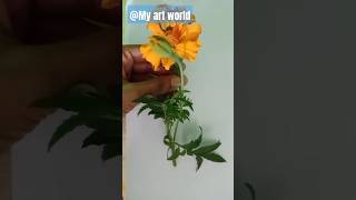 Beautiful flower colouring and drawing How to draw marigold flowerMy art world [upl. by Yllas]