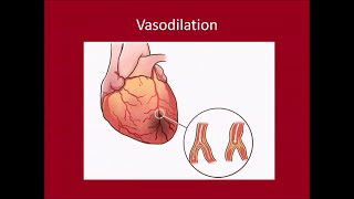 Cardiac Biomarkers [upl. by Ferretti]