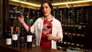 Pinot Noir Merlot Cabernet Sauvignon Shiraz Syrah  Red Wine Guide [upl. by Hsihsa286]